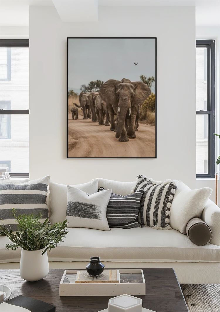 dibond,ingelijst,poster,canvas dibond,ingelijst,poster,canvas