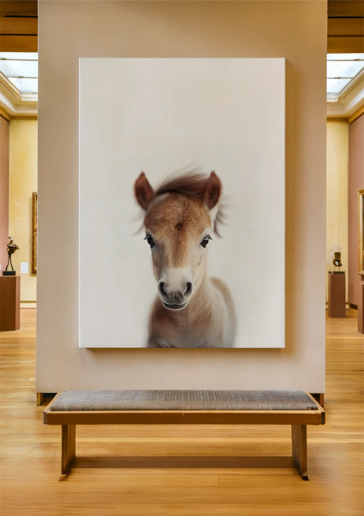 canvas canvas