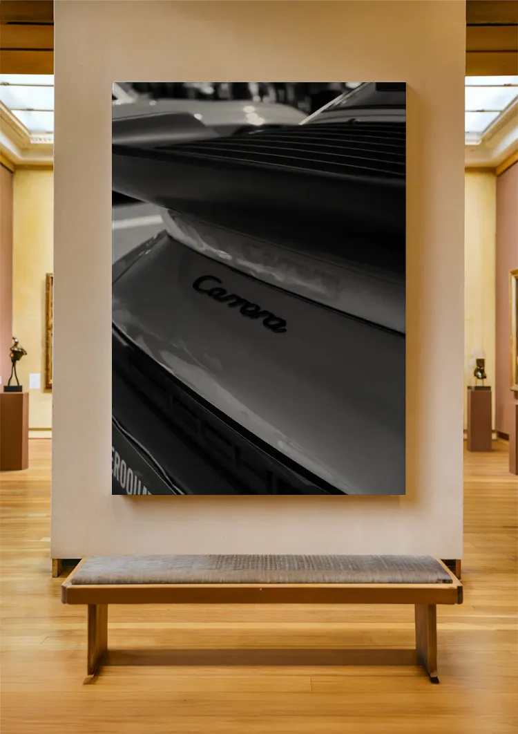 canvas canvas
