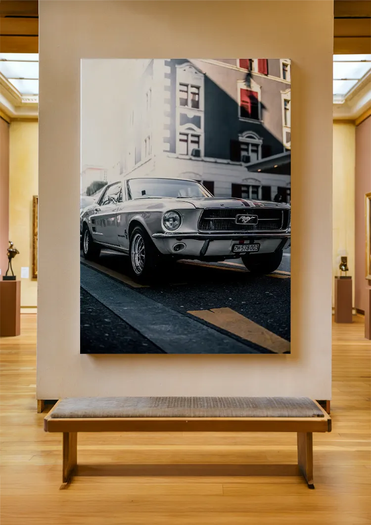 canvas canvas
