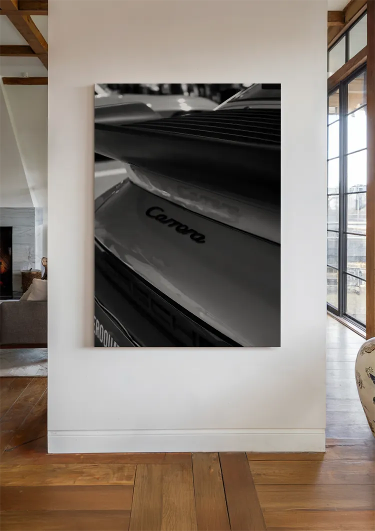 canvas canvas