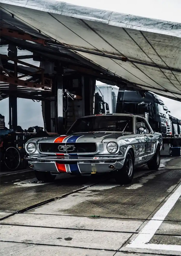 dibond,ingelijst,canvas,poster