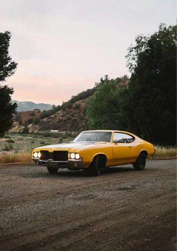 dibond,ingelijst,canvas,poster