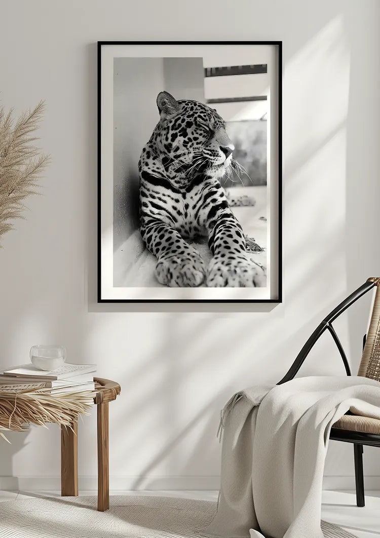 ingelijst,poster ingelijst,poster