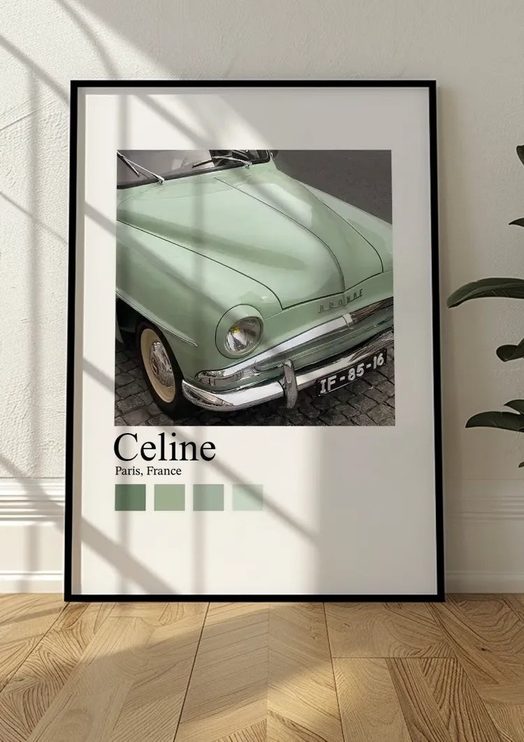 ingelijst,poster ingelijst,poster