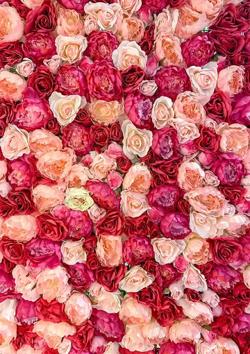 dibond,ingelijst,canvas,poster