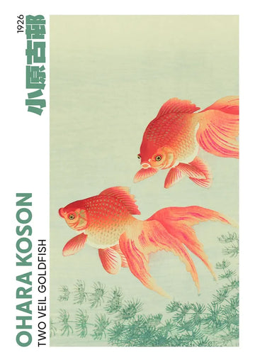 dibond,ingelijst,canvas,poster