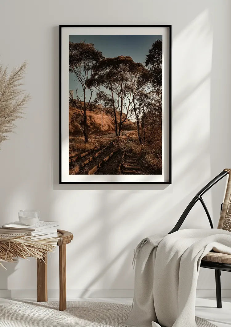 ingelijst,poster ingelijst,poster