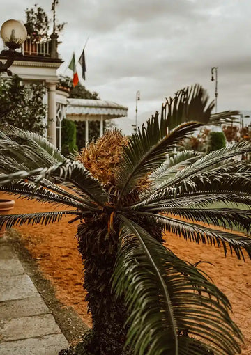 dibond,ingelijst,canvas,poster