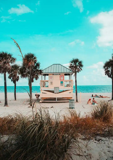 dibond,ingelijst,canvas,poster