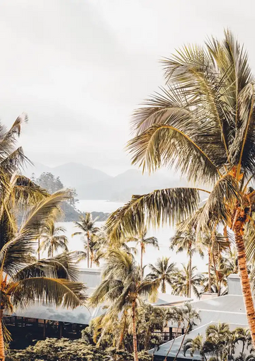 dibond,ingelijst,canvas,poster