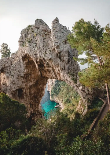 dibond,ingelijst,canvas,poster