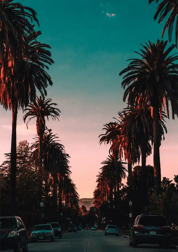 dibond,ingelijst,canvas,poster