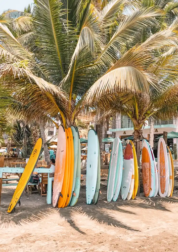 dibond,ingelijst,canvas,poster