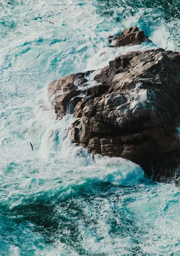 dibond,ingelijst,canvas,poster