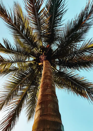 dibond,ingelijst,canvas,poster