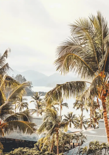 dibond,ingelijst,canvas,poster