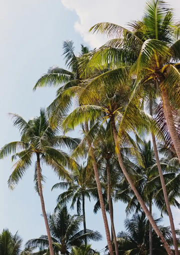 dibond,ingelijst,canvas,poster