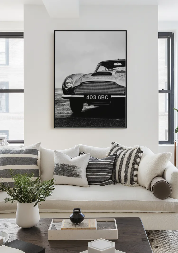 dibond,ingelijst,poster,canvas dibond,ingelijst,poster,canvas