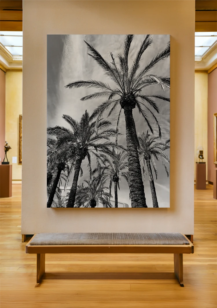 canvas canvas