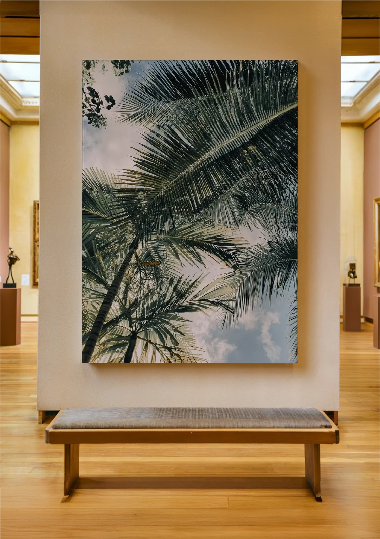 canvas canvas