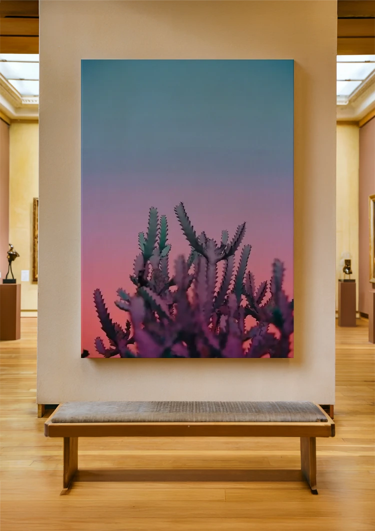 canvas canvas
