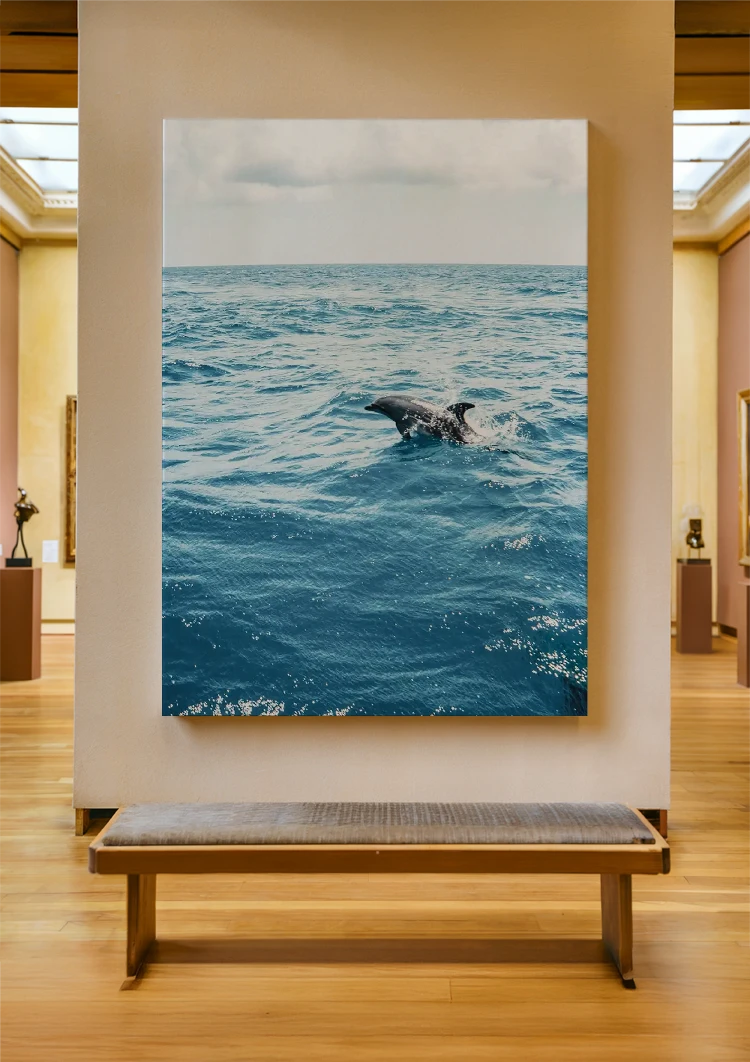canvas canvas