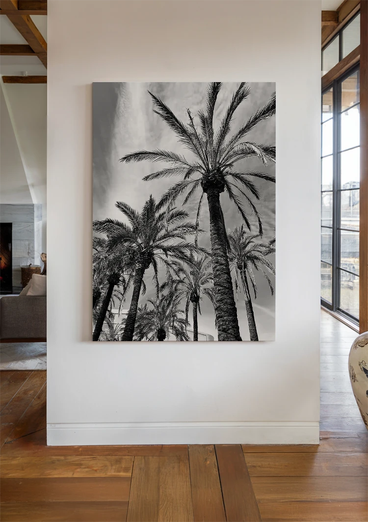 canvas canvas
