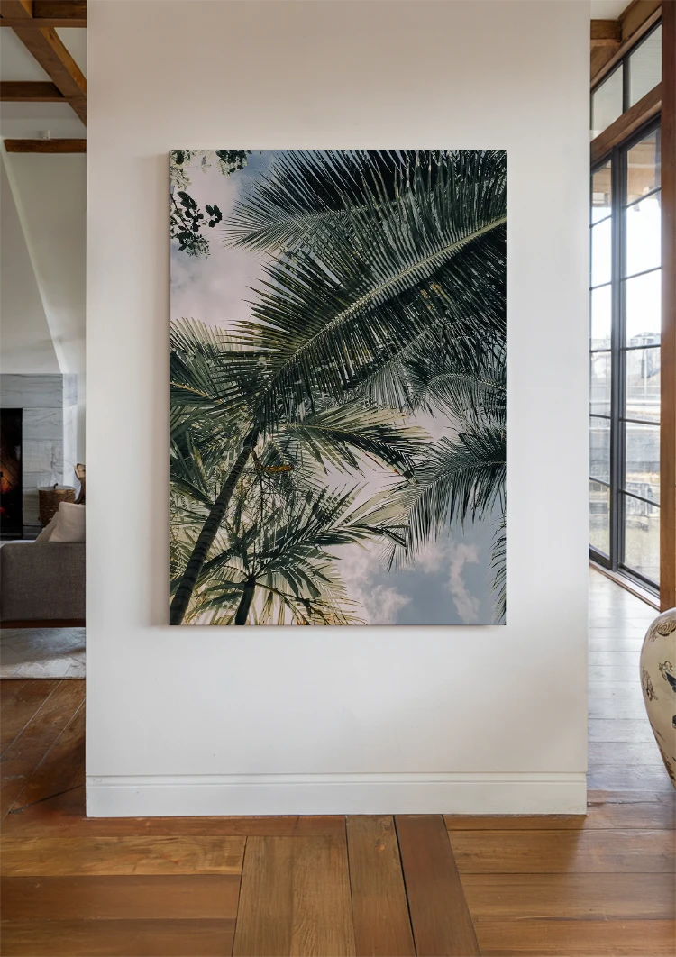 canvas canvas
