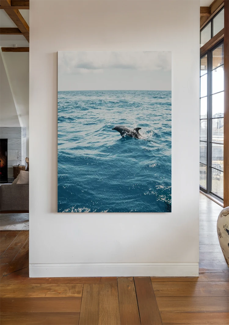 canvas canvas