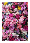 Een verscheidenheid aan kleurrijke bloemen, dicht op elkaar gepakt, met overwegend roze, witte en paarse rozen, afgewisseld met enkele gele en blauwe bloemen. De aba 001 - bloemen van CollageDepot creëert een levendige en weelderige weergave die het hele frame bedekt.-