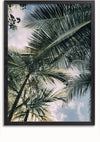 Een Palmboom Bladeren Schilderij van CollageDepot, ideaal als schilderij en wanddecoratie, toont een opwaarts perspectief van hoge palmbomen tegen een gedeeltelijk bewolkte hemel. De groene bladeren spreiden zich uit, waardoor delen van de lucht onzichtbaar worden, en het beeld wordt begrensd door een strak, zwart kader. Het beschikt over een handig magnetisch ophangsysteem.,Zwart-Zonder,Lichtbruin-Zonder,showOne,Zonder
