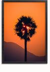 Een ingelijste foto, perfect voor elegante wanddecoratie, toont een silhouet van een enkele palmboom tegen een levendige oranje zonsondergang. De zon is gedeeltelijk zichtbaar door de bladeren en op de achtergrond is een bergrug te zien. Het eenvoudige zwarte frame is eenvoudig te monteren met een magnetisch ophangsysteem. Dit Shining through schilderij van CollageDepot geeft een serene toets aan elke ruimte.