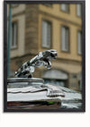Close-up van een glimmend, zilveren Klassiek Jaguar embleem in de vorm van een springende jaguar op een oldtimer. De achtergrond vertoont vage architectonische details van een gebouw met rechthoekige ramen. De afbeelding, perfect als wanddecoratie, is ingelijst in een eenvoudige zwarte lijst. Dit prachtige stuk staat bekend als het Klassiek Jaguar Embleem Schilderij van CollageDepot.,Zwart-Zonder,Lichtbruin-Zonder,showOne,Zonder
