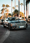 Een zilveren CollageDepot Bentley-cabriolet geparkeerd in een straat vol hoge palmbomen tijdens zonsondergang, wat warm licht op het tafereel werpt.-