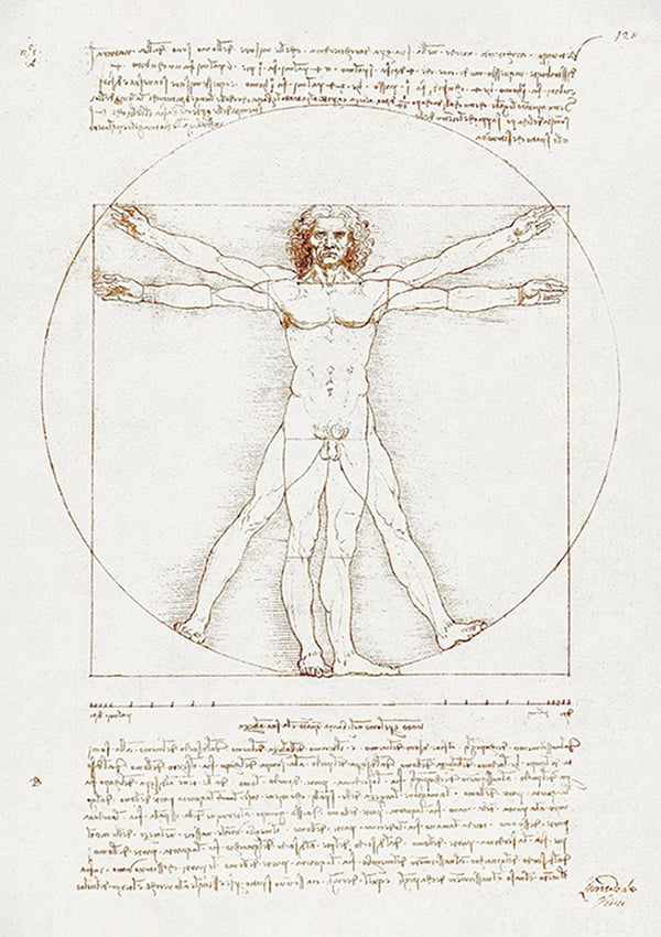 Een gedetailleerde tekening van een mannelijke figuur met uitgestrekte armen en benen binnen zowel een cirkel als een vierkant, bekend als de Leonardo Da Vinci Vitruvian Man Schilderij van CollageDepot. Perfect als wanddecoratie, de schets bevat handgeschreven notities in spiegelschrift boven en onder de figuur.