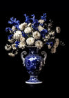 Een decoratieve porseleinen vaas met sierlijke handvatten en blauwe bloemmotieven bevat een arrangement van witte en blauwe bloemen. De achtergrond is zwart en benadrukt de ingewikkelde details van de aab 337 Delfts blauw van CollageDepot en de levendige kleuren van de bloemen.-