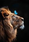 Een close-up zijprofiel van een leeuw met een blauwe vlinder op zijn voorhoofd. De manen van de leeuw zijn weelderig en contrasteren met de donkere achtergrond, waardoor de delicate vlinder tussen zijn ogen wordt benadrukt. Deze prachtige afbeelding is te zien in "ddd 005 - Dieren" van CollageDepot.-