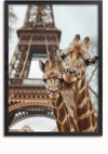 Ingelijst kunstwerk aaa 113 Exclusive van CollageDepot toont twee giraffen voor de Eiffeltoren, waarbij de ene giraffe de andere aansnuffelt. Het beeld combineert dieren in het wild met een iconisch monument, waardoor een surrealistische nevenschikking ontstaat. Het lijkt erop dat in de productbeschrijving belangrijke SEO-zoekwoorden ontbreken voor een betere zichtbaarheid.,Zwart-Zonder,Lichtbruin-Zonder,showOne,Zonder