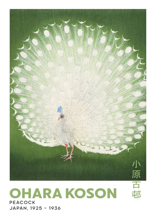Een gestileerde afbeelding van een witte pauw met zijn veren uitgewaaierd tegen een groene achtergrond. De tekst bevat "OHARA KOSON", "Peacock" en "Japan, 1925 - 1936" in het Engels, en Japanse karakters aan de rechterkant van de afbeelding. Product: "aaa 022 - japans" van CollageDepot.-