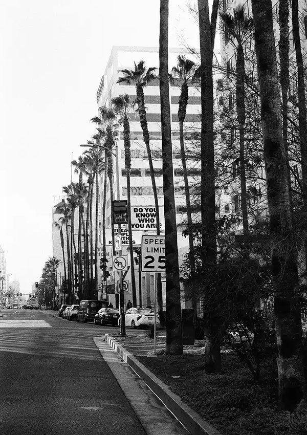 Zwart-witfoto van een stadsstraat met hoge palmbomen. Auto's worden langs de kant geparkeerd en er is een bord zichtbaar dat een snelheidslimiet van 40 km/uur aangeeft. Een gebouw met een groot bord waarop staat: "Weet je wie je bent?" staat op de achtergrond, perfect voor wanddecoratie met een magnetisch ophangsysteem zoals het Rodeo Drive Los Angeles schilderij van CollageDepot.