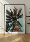 Een ingelijste foto van een hoge palmboom, van onderaf genomen tegen een lichtblauwe lucht, leunt tegen een witte muur. De vloer, gemaakt van lichtgekleurd hout, contrasteert prachtig met de groene plant die aan de rechterkant zichtbaar is. Deze unieke wanddecoratie past perfect bij elke schilderijencollectie, vooral als je een magnetisch ophangsysteem gebruikt zoals het Palmboom Vanaf De Onderkant Schilderij van CollageDepot.,Zwart