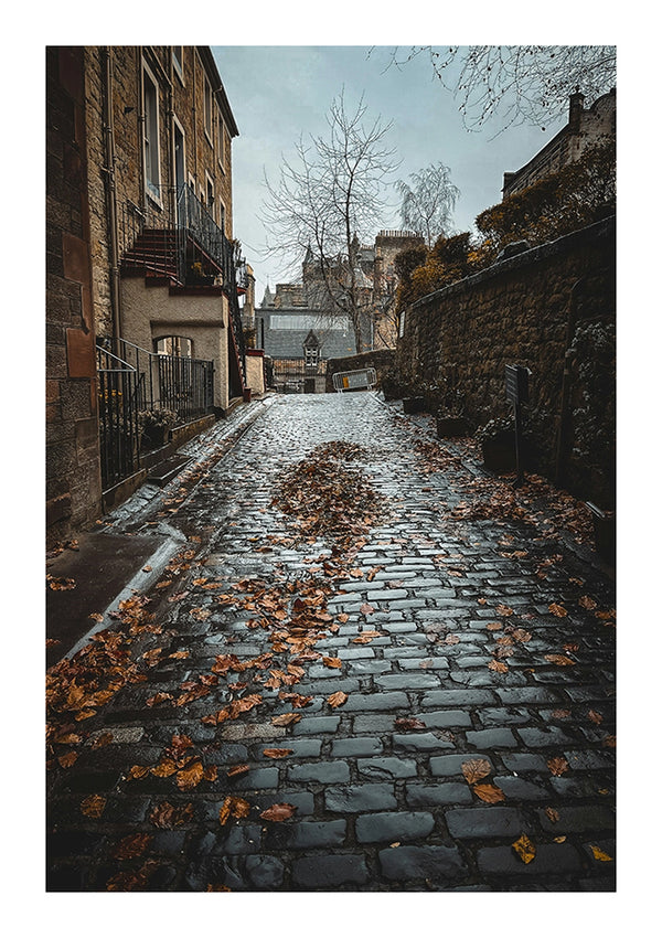 Een geplaveide straat bedekt met natte bladeren op een regenachtige dag, geflankeerd door oude stenen gebouwen die leiden naar een kasteel in de verte onder een sombere hemel gemaakt van CollageDepot's bbb 003 - natuur.-