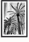 Zwart-wit ingelijste foto van een aantal hoge palmbomen tegen een lucht met piekerige wolken. De bladeren van de handpalmen spreiden zich aan de bovenkant uit, waardoor een waaiervormig patroon ontstaat. Dit Hoge Palmbomen Op Een Zwart-Wit Schilderij van CollageDepot heeft een verticale oriëntatie en een kunstgalerie-achtige presentatie, ideaal voor wanddecoratie met een magnetisch ophangsysteem.,Zwart-Met,Lichtbruin-Met,showOne,Met