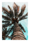 Een laaghoekaanzicht van een palmboom met een getextureerde stam en lange, stralende bladeren tegen een bewolkte blauwe lucht, die doet denken aan een exotisch schilderij. De bladeren van de palmboom spreiden zich wijd uit, waardoor bovenaan een baldakijneffect ontstaat. Deze scène zou prachtig zijn als wanddecoratie met een magnetisch ophangsysteem zoals het Palmboom Vanaf De Onderkant Schilderij van CollageDepot.-