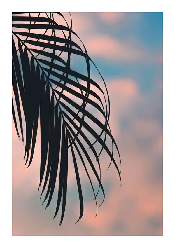 Silhouet van palmbladeren tegen een zachte pastelkleurige lucht met roze en blauwe tinten tijdens de schemering. De bladeren zijn gedetailleerd en overlappen elkaar ingewikkeld, waardoor een vredig en sereen tafereel ontstaat met cc 051 - natuur van CollageDepot.