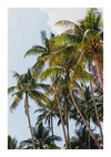 Hoge kokospalmen met groene bladeren tegen een lichtblauwe lucht. De bovenste delen van de bomen zwaaien subtiel, wat een zacht briesje suggereert. Sommige witte wolken zijn gedeeltelijk zichtbaar op de achtergrond, waardoor een serene achtergrond ontstaat, perfect voor elke wanddecoratie met tropisch thema of CollageDepot Palmbomen Met Heldere Lucht Schilderij.-