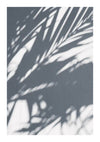 Schaduw van palmbladeren geworpen op een lichtgrijs oppervlak, waardoor een abstract patroon van lijnen en vormen ontstaat met CollageDepot's cc 101 - natuur.-