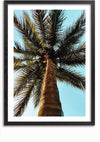 Een ingelijste foto waarop een hoge palmboom vanuit een laag perspectief tegen een helderblauwe lucht te zien is. De getextureerde stam van de boom staat centraal en leidt naar de wijdverspreide bladeren. De lijst is zwart met een witte rand rondom de foto, waardoor er door het magnetische ophangsysteem een opvallende wanddecoratie ontstaat. Dit prachtige stuk, bekend als het Palmboom Bij Heldere Hemel Schilderij van CollageDepot, voegt een elegant tintje toe aan elke kamer.